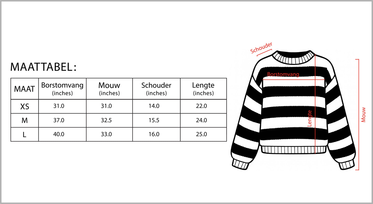 Oversized Trui voor Vrouwen Lange Mouwen Crewneck Jumper